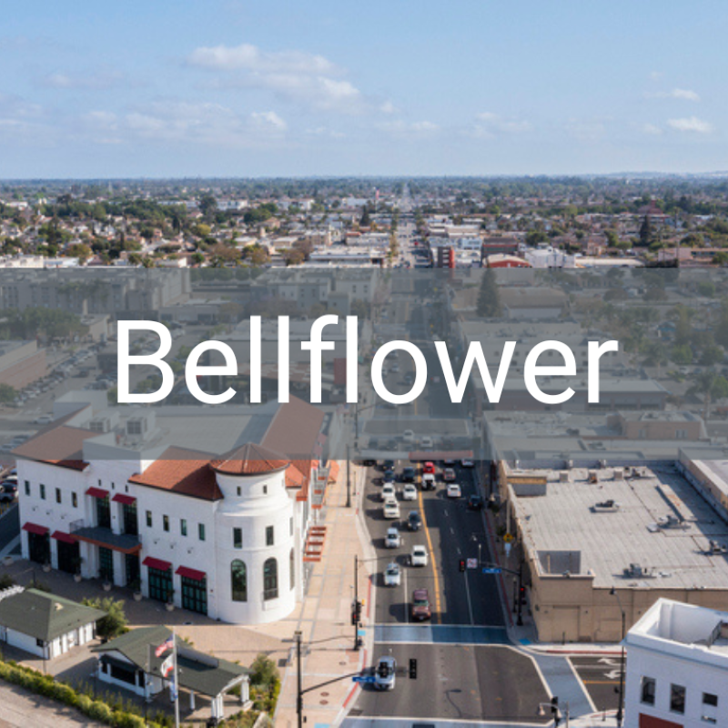 Bellflower Area Tile